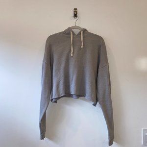 Alo Yoga Raw Hem Cropped Hoodie Grey
